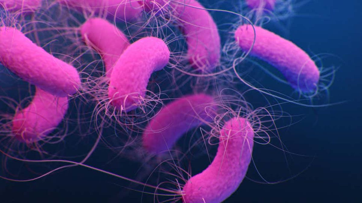 Esta bacteria te obliga a hacer mocos y luego se los come