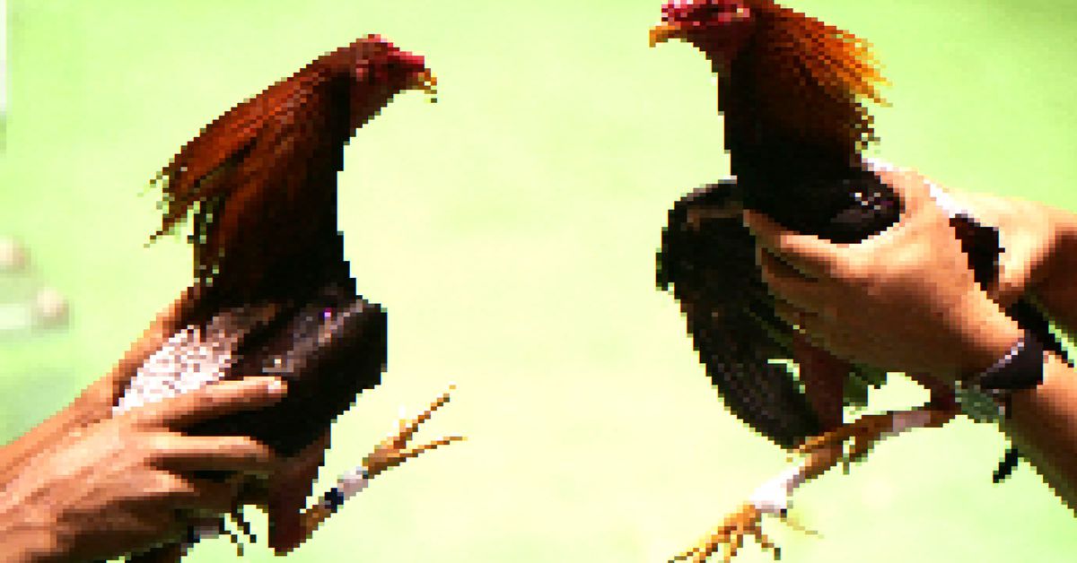 ‘Tamagotchi on Crack’: Irreverent Labs recauda $ 40 millones para el juego de peleas de gallos NFT