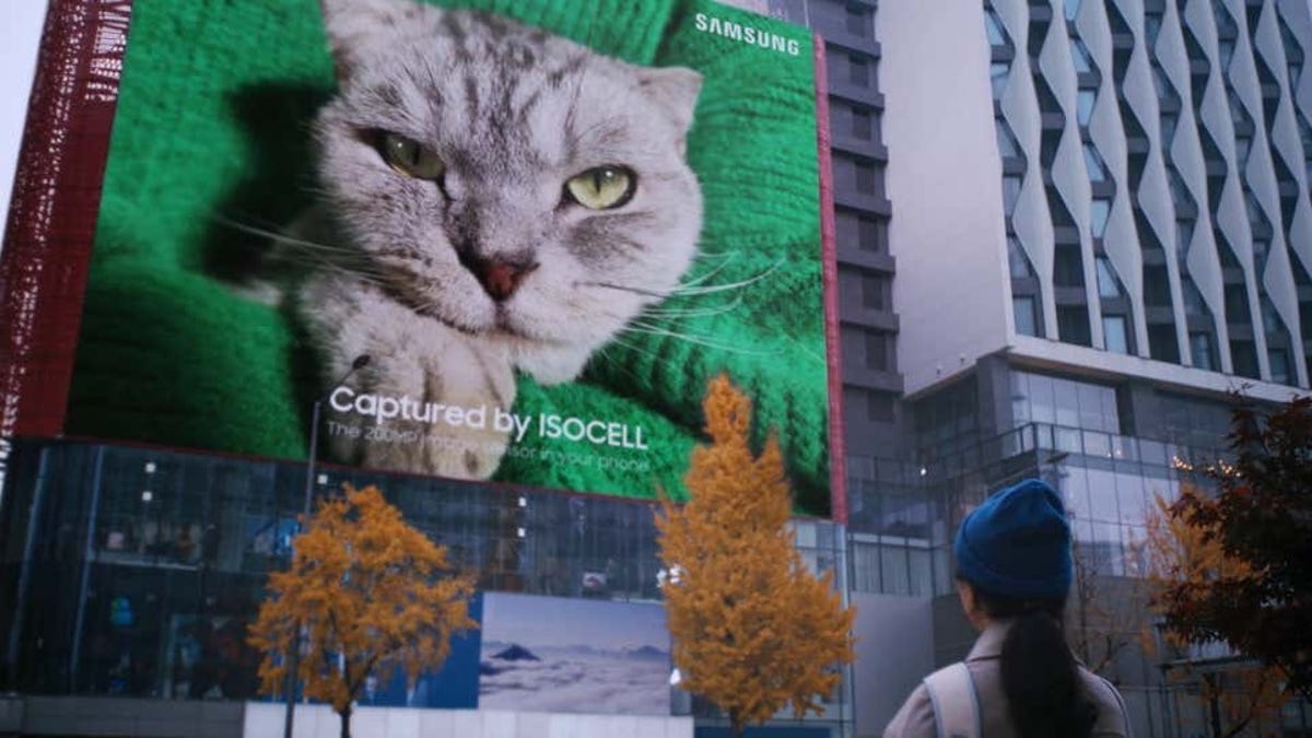 Esta foto de un gato de 616 metros cuadrados es el futuro