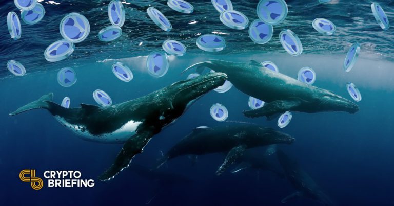 Top Terra Whales rompe el silencio sobre el colapso de la red