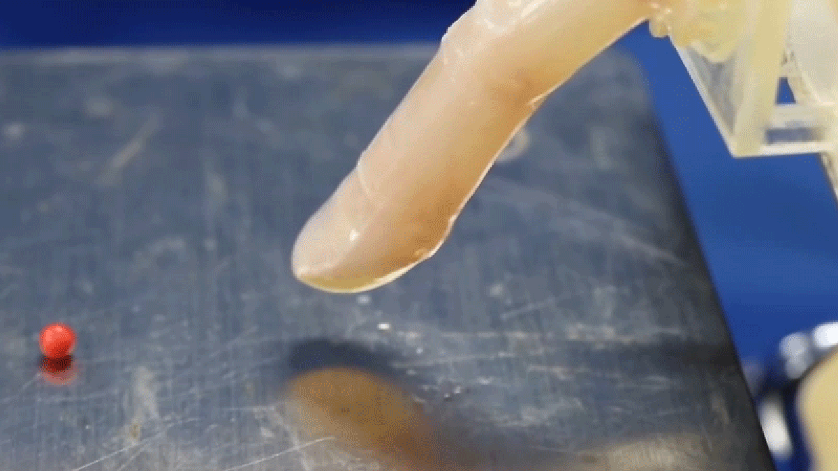 Este dedo robótico está cubierto de piel humana viva