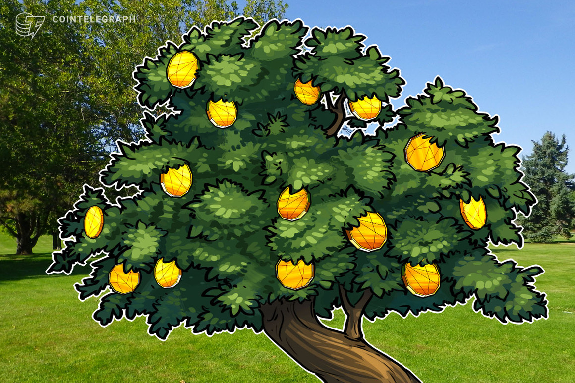 ‘Compra Bitcoin, planta un árbol, baja tu preferencia temporal’: una historia de Sequoia