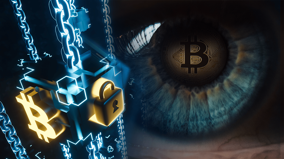 Mayor privacidad en la red Lightning de Bitcoin con la nueva versión del Ojo de Satoshi