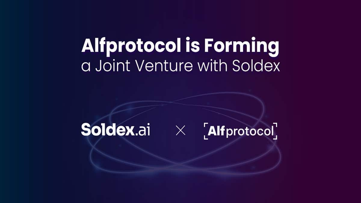 Alfprotocol -el proyecto DeFi de Solana- forma empresa conjunta con el DEX Soldex