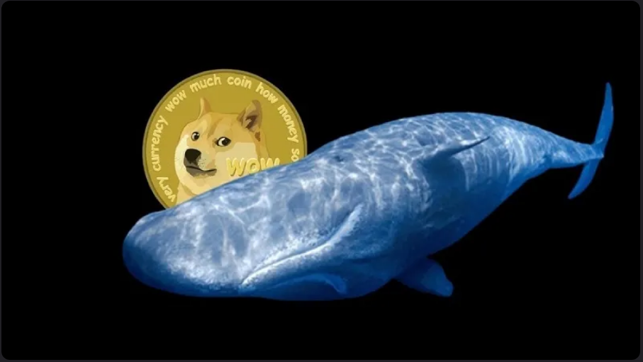 Dogecoin (DOGE) en la parte superior del menú de ballenas