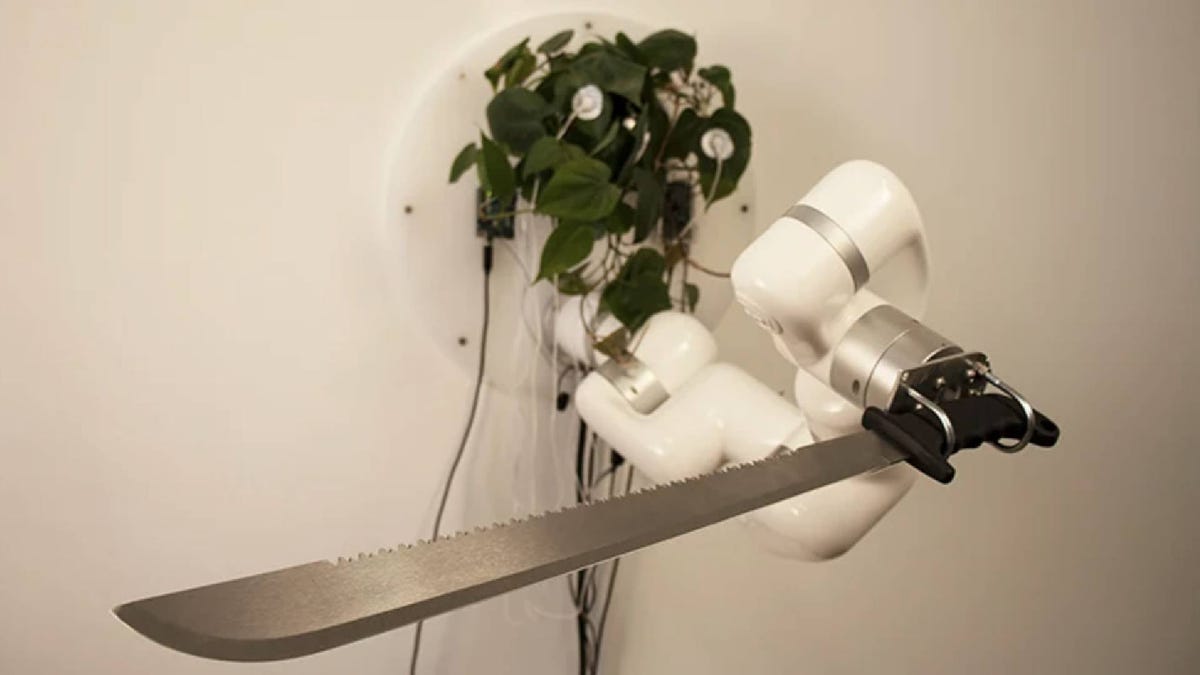 Planta de interior controla un brazo robótico con un machete