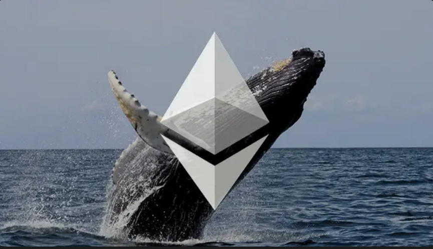 Movimiento importante de Ethereum Whales Front Run, sugieren datos en cadena