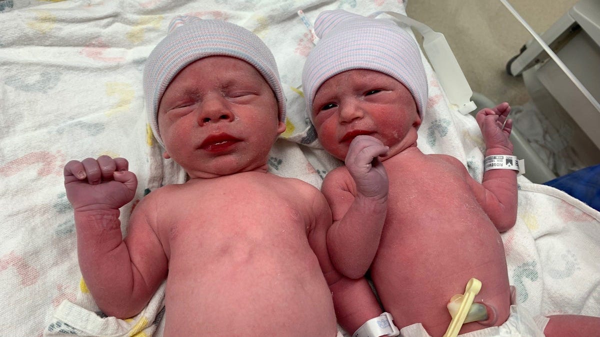Nacen gemelos de embriones congelados hace 30 años