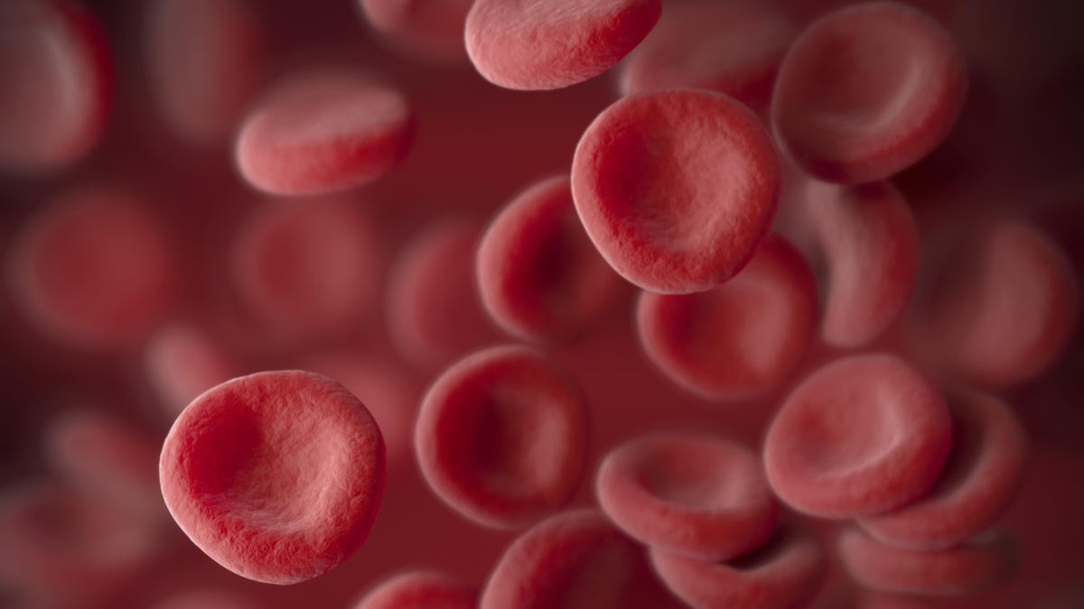 Transfunden por primera vez a personas sangre creada en un laboratorio
