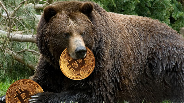 Bitcoin muestra fortaleza ya que el precio se mantiene por encima de los $16 500;  ¿Es esto una trampa para osos?