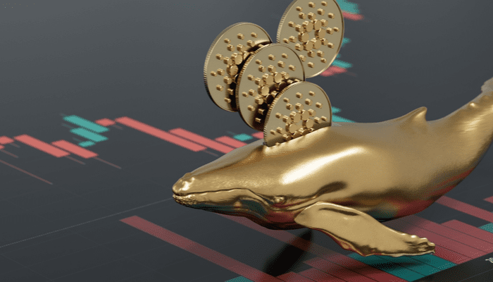 Bitcoin tendrá una tendencia a la baja porque las ballenas todavía se están vendiendo