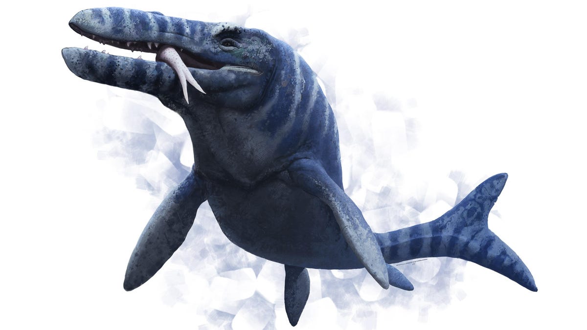 Un nuevo estudio aporta datos aterradores sobre los mosasaurios