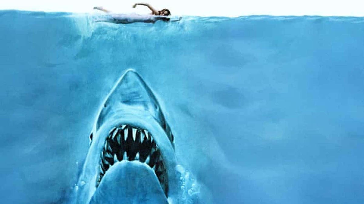 Spielberg y todo lo malo que hizo Tiburón por la especie animal