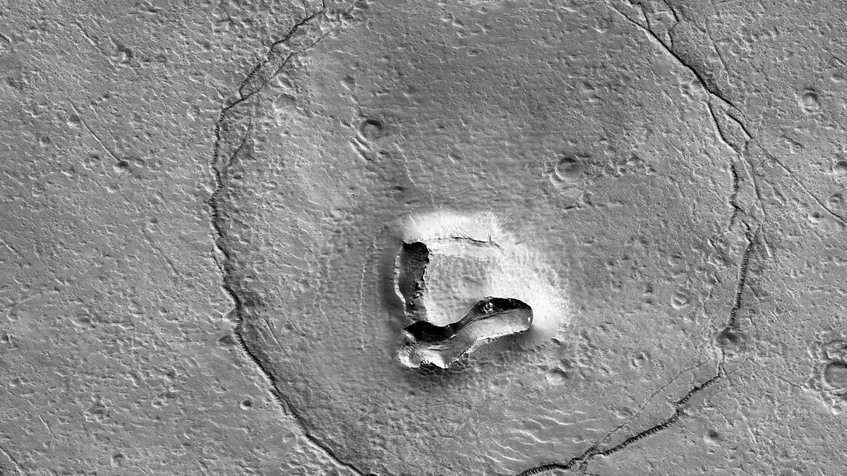 Encuentran una roca con forma de oso en la superficie de Marte
