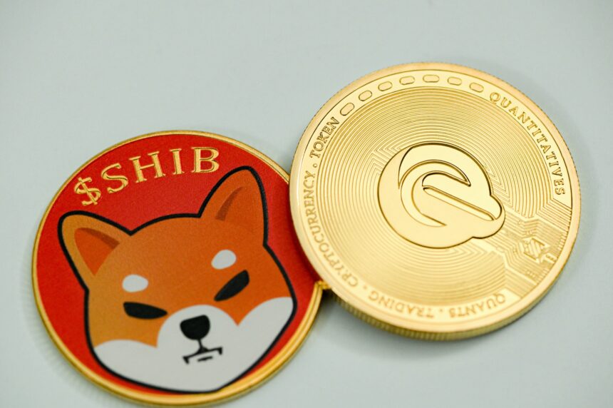 Los desarrolladores de Shiba Inu se preparan para presentar la versión beta de la red Shibarium L2