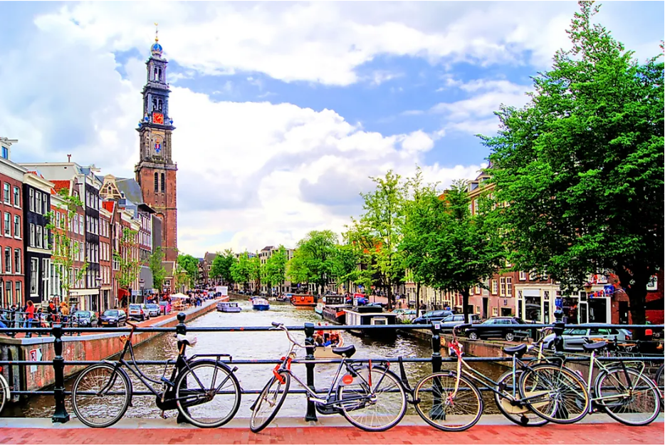 Reino de los Países Bajos adoptará TRON como moneda de curso legal