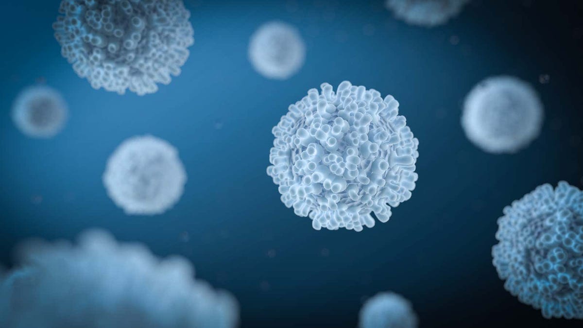 Los linfocitos CAR T se muestran prometedores contra el cáncer