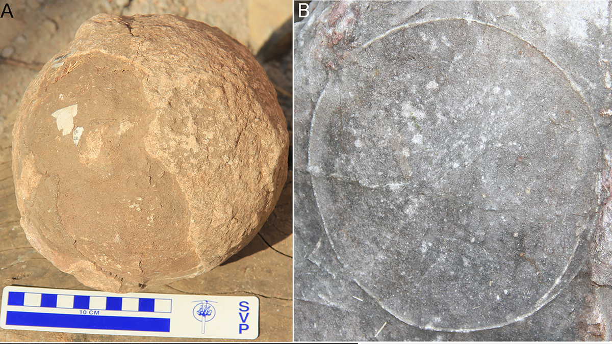 Cerca de 100 nidos de titanosaurio encontrados en la India