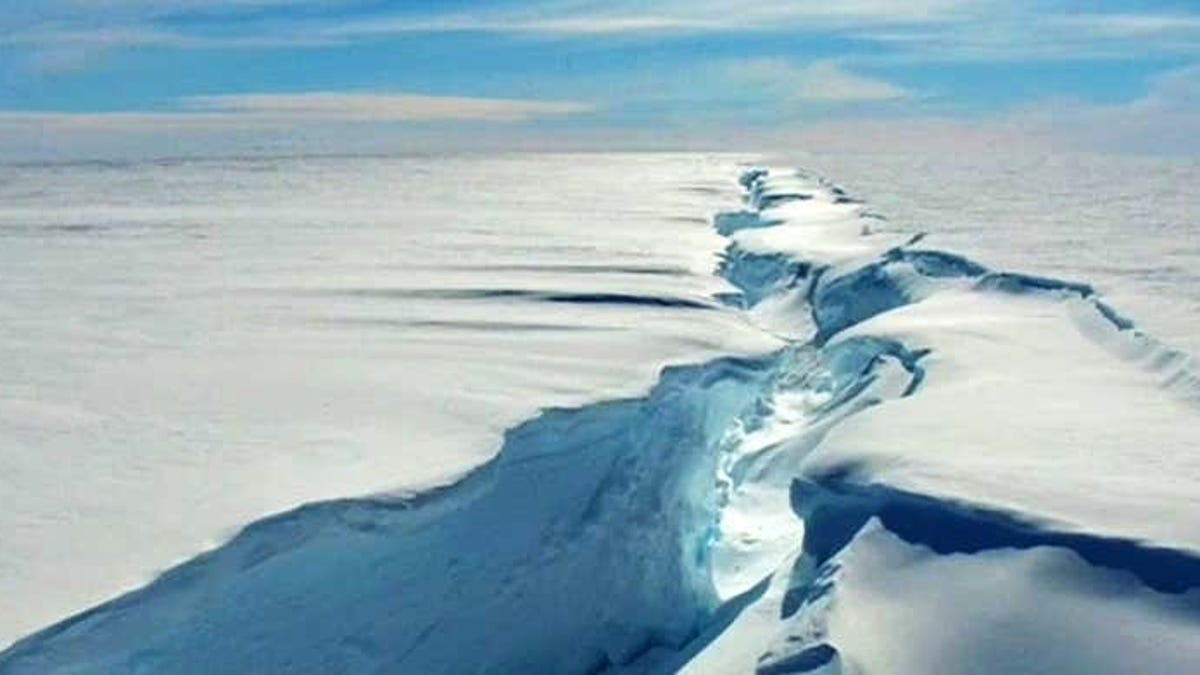 Imágenes del iceberg A81 revelan la magnitud de la deriva