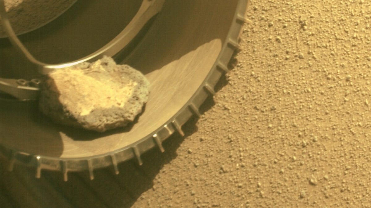 Perseverance de la NASA ha perdido a su mascota marciana