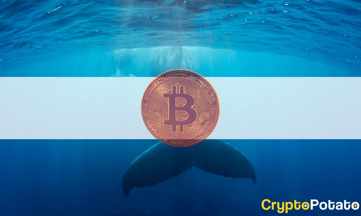 Ballena Mueve 11m USD en BTC tras 12 Años de Inactividad
