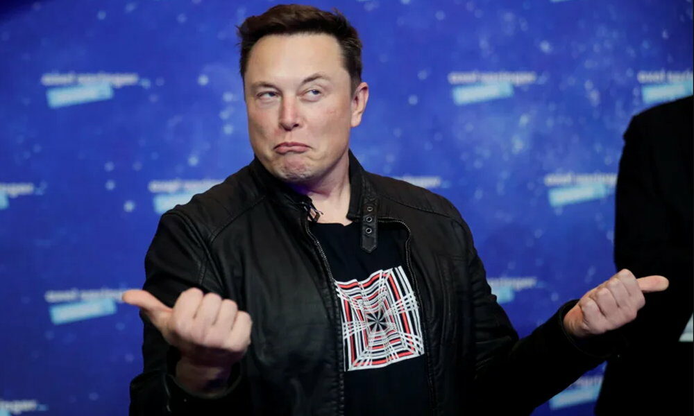 Elon Musk paga la verificación azul de Stephen King, LeBron James y William Shatner en Twitter – MuyComputer