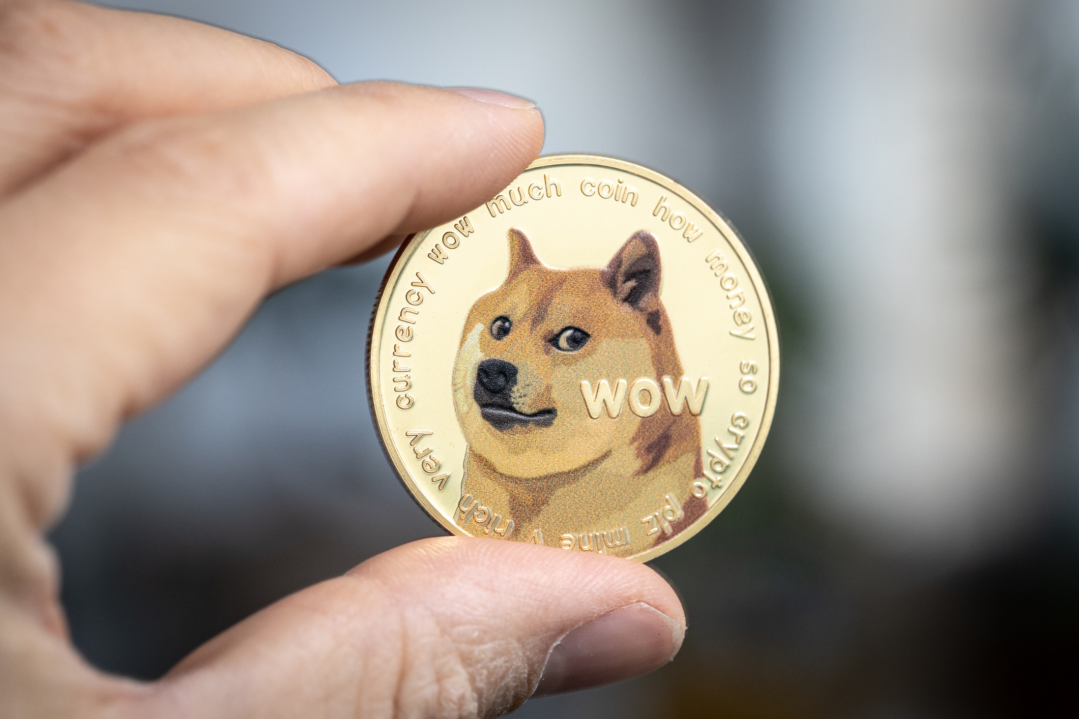 Elon Musk revela la razón detrás de la inversión en Dogecoin, pero ¿por qué está caído DOGE?