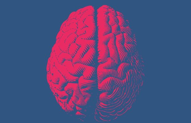 La apnea del sueño grave podría reducir el tamaño del cerebro