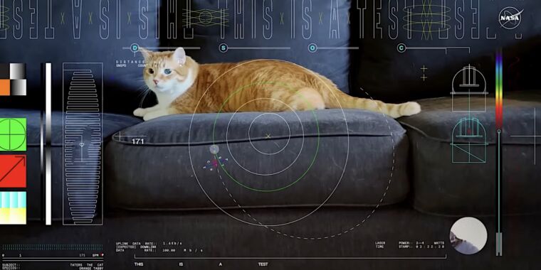 Un vídeo de un gato destacó un gran año para los láseres en el espacio