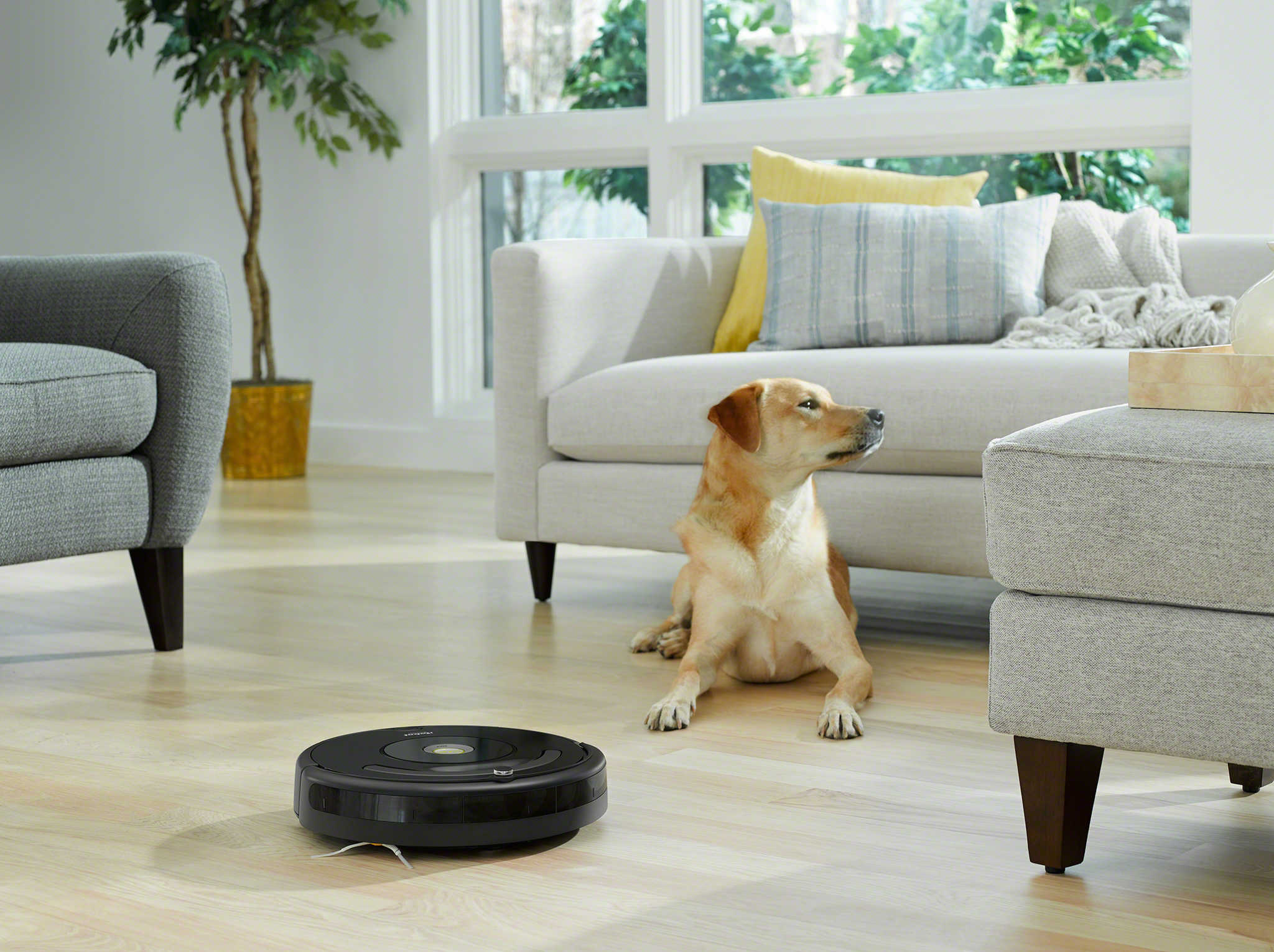 El robot aspirador más barato de iRobot ahora cuesta solo $ 149