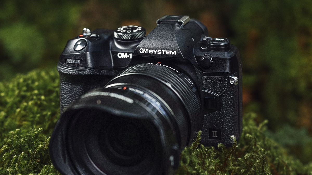 OM System OM-1 II es una actualización de una de las mejores cámaras de fotografía de vida silvestre del mundo