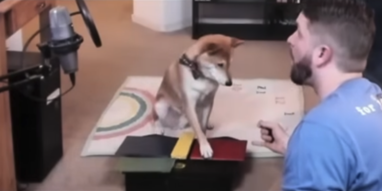 Eso nunca había sucedido antes: el video de Games Done Quick protagoniza al perro speedrunning