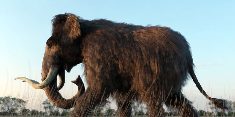 Un nuevo estudio rastrea los viajes de un mamut a través de Alaska
