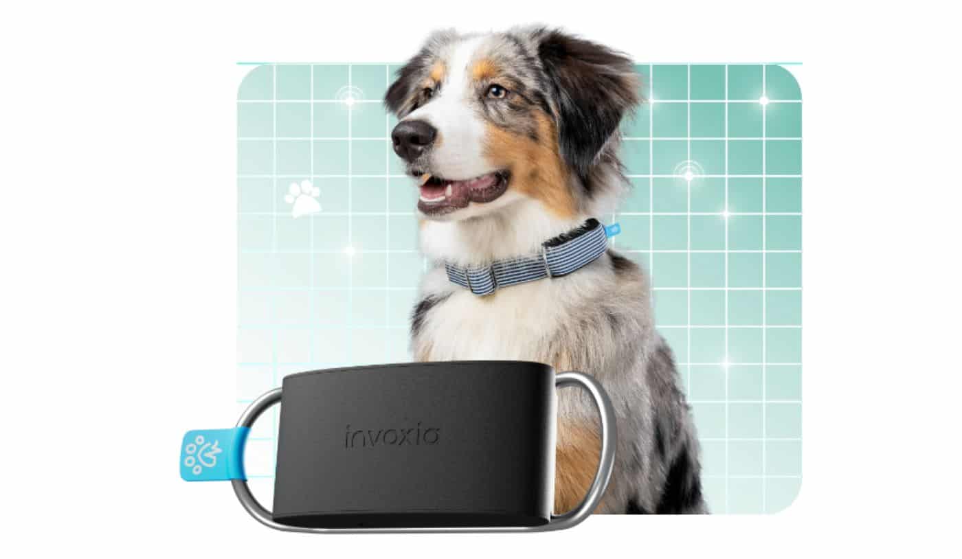 Este collar inteligente para perros de Invoxia puede realizar un seguimiento de su bienestar