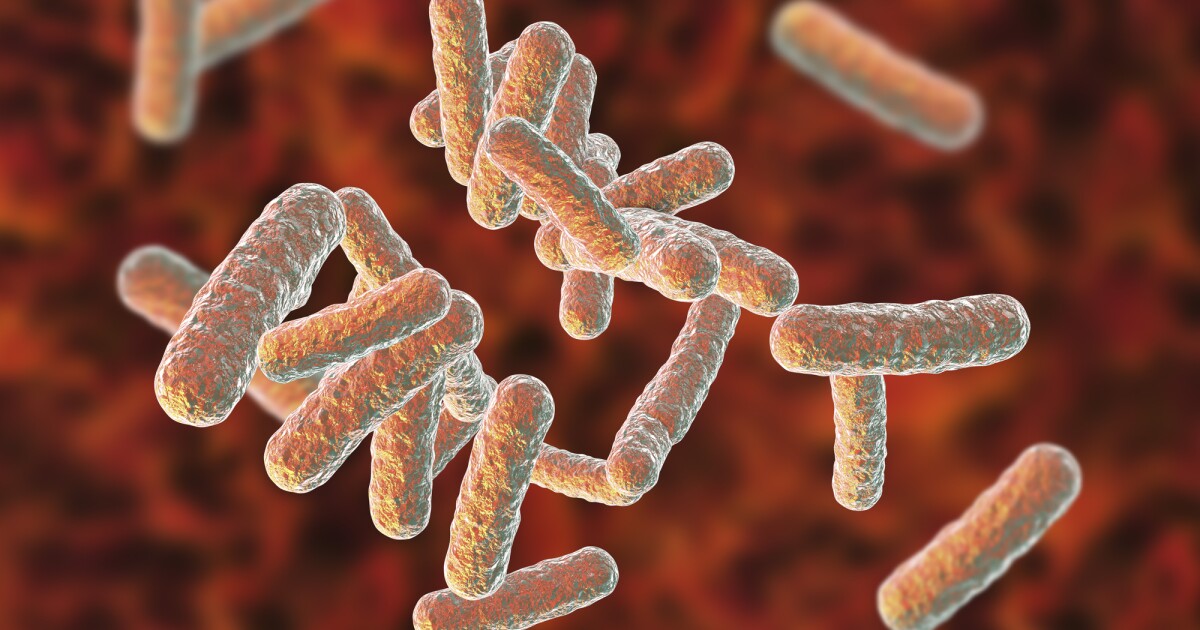 Una nueva familia de antibióticos mata las superbacterias de una manera a la que no pueden resistir