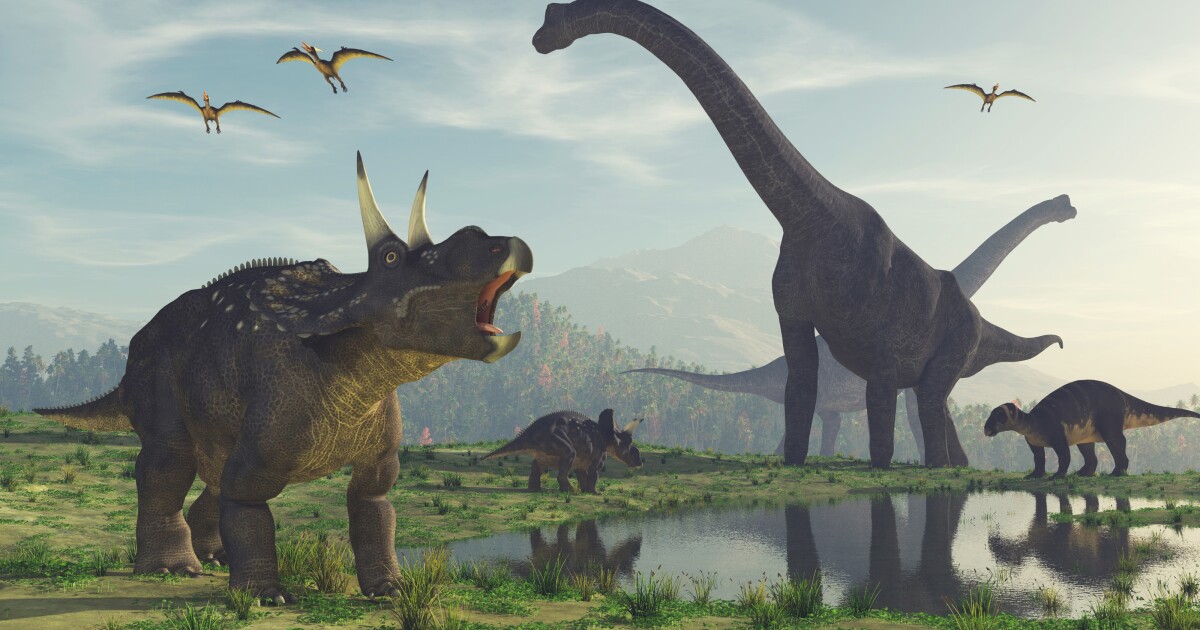 Dientes de T. rex para cabezazos de dinosaurios: hallazgos fósiles de 2023