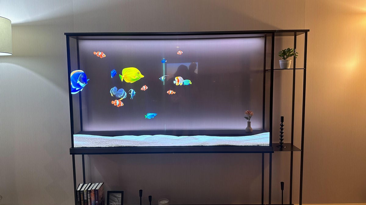 El increíblemente impresionante OLED transparente de LG se transforma de un televisor en una pecera