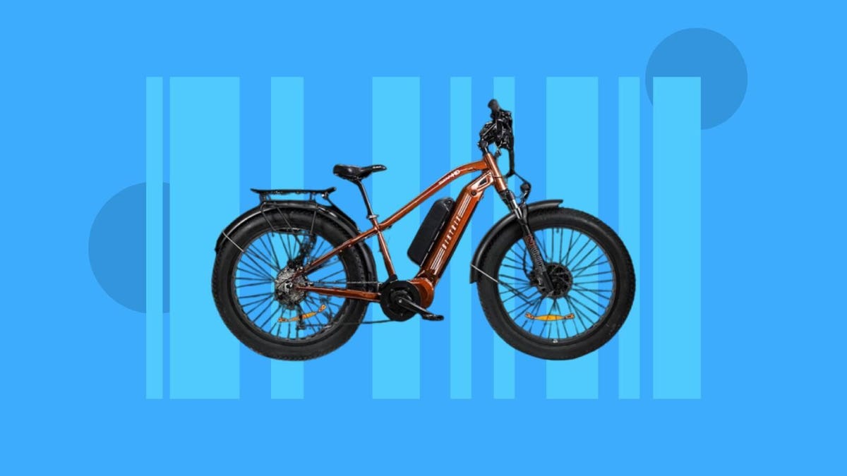 Las mejores ofertas en bicicletas eléctricas: ahorre cientos en las mejores marcas como BirdBike, RadPower y más