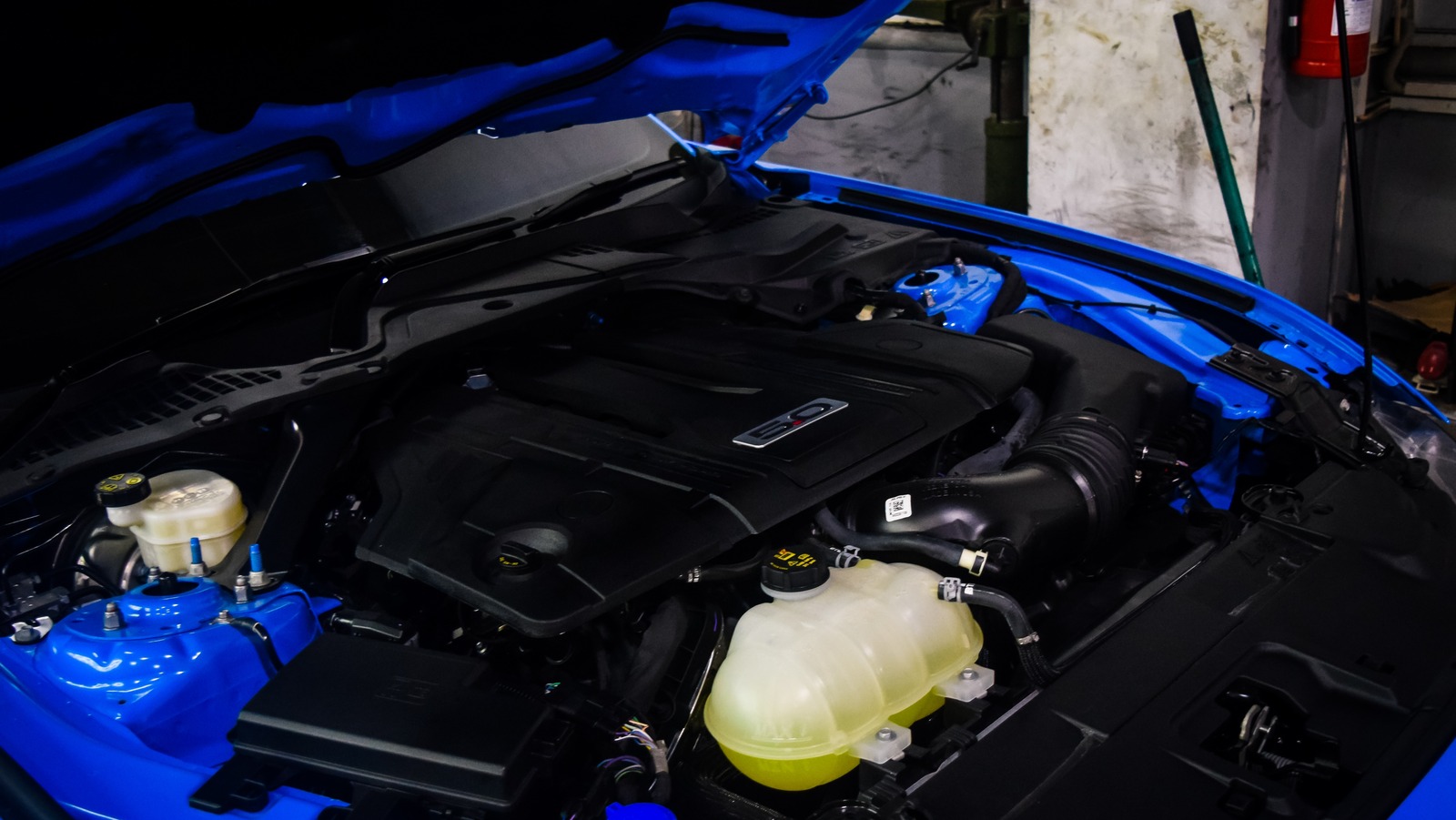 ¿Qué hace que el Coyote de Ford sea uno de los mejores V8 jamás fabricados?