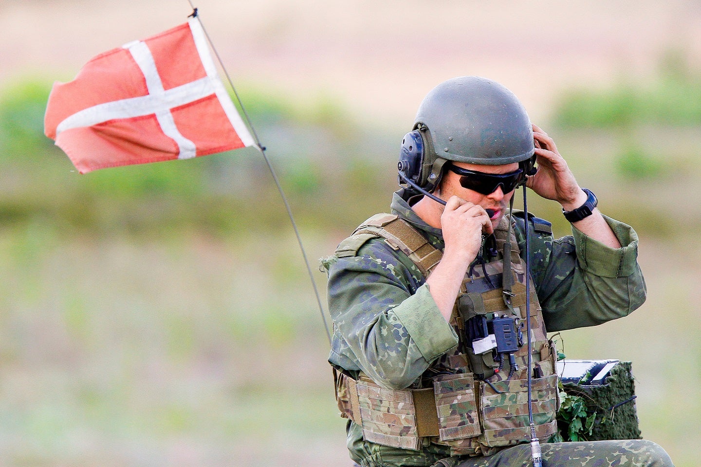 La reactivación de la defensa de Dinamarca: colaboraciones y capacidades