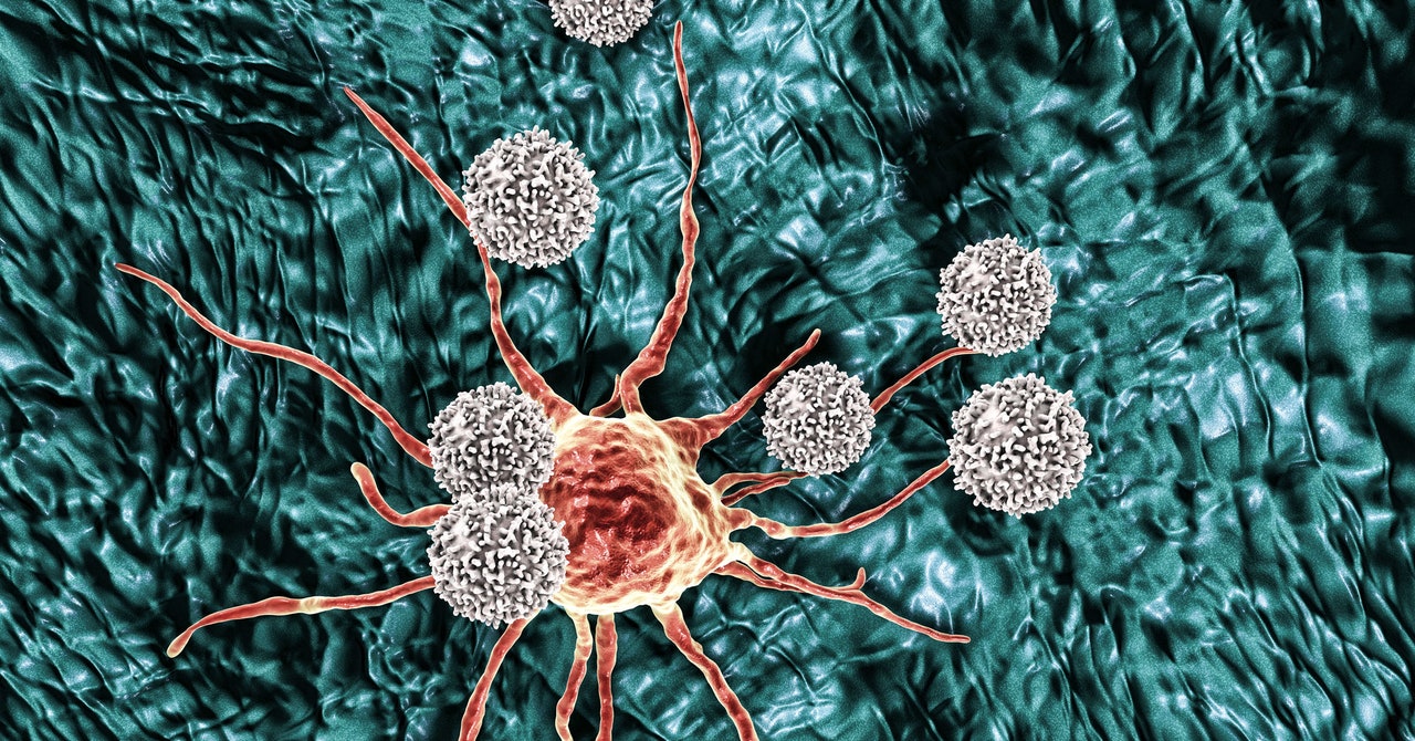 Los científicos probarán un tratamiento de ARNm que busca el cáncer