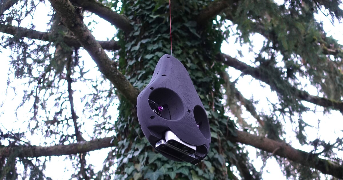 Un robot aguacate se balancea desde los árboles para recopilar datos sobre el dosel