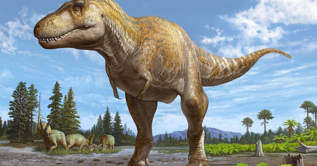 Una nueva especie de tiranosaurio gigante es anterior al T.rex en 6 millones de años