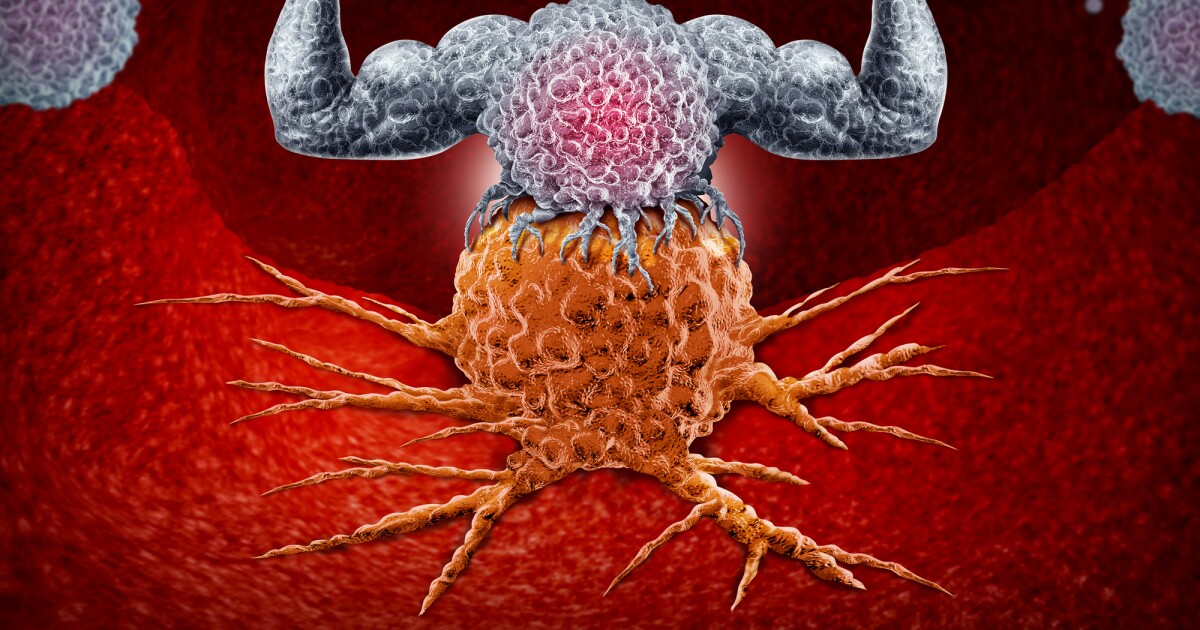 Las células inmunitarias «blindadas» fabrican su propia medicina para seguir luchando contra el cáncer