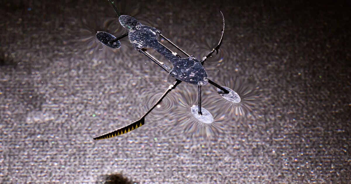 Un insecto robótico se mueve por el agua con una tecnología récord mundial