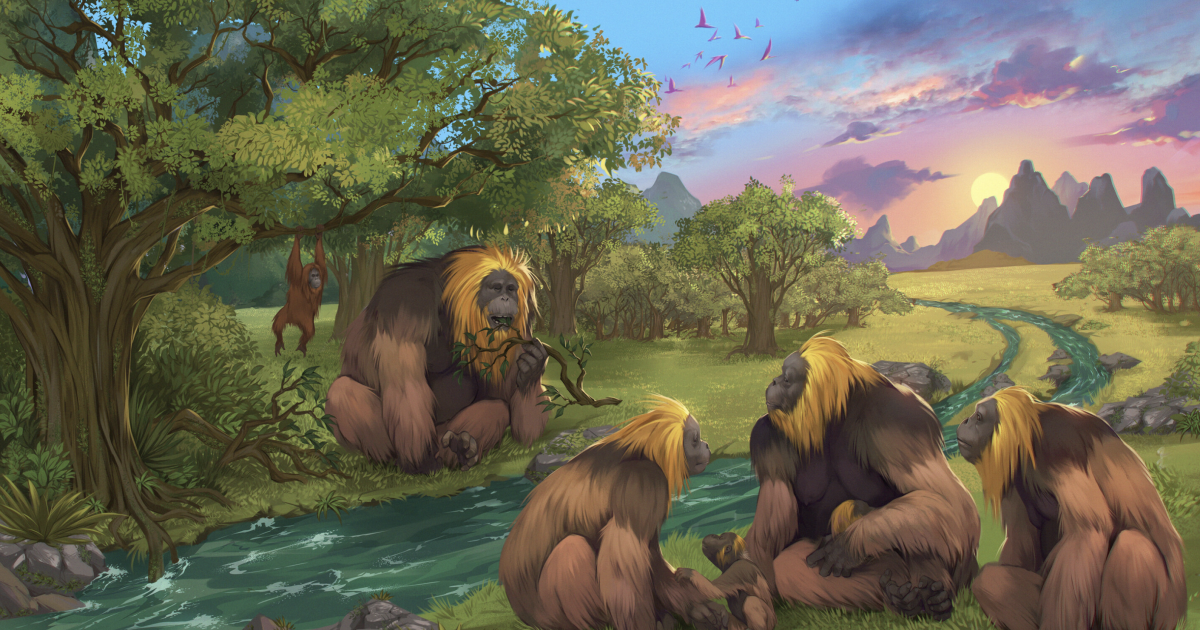Con la ayuda de láseres, finalmente se resuelve el misterio de la desaparición del simio gigante ‘King Kong’