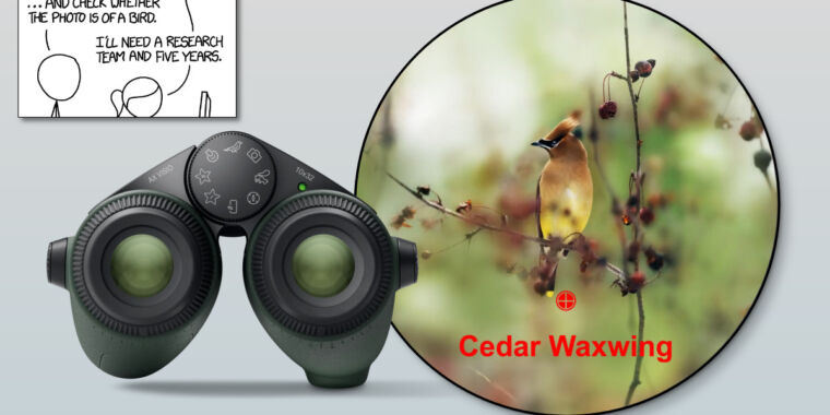 El famoso cómic xkcd cierra el círculo con binoculares de identificación de aves con IA
