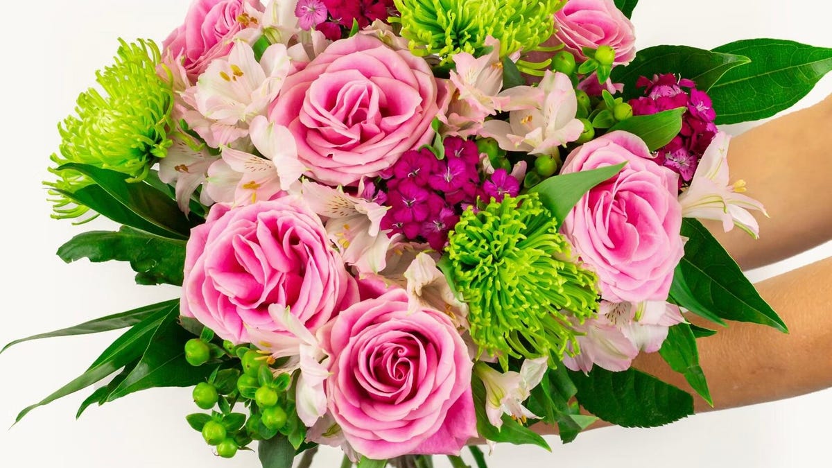 Las mejores ofertas de flores para el día de San Valentín: ahorre en exuberantes rosas, plantas, orquídeas y más – CNET