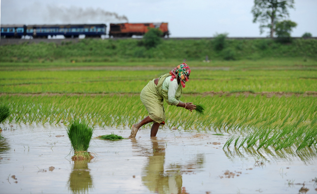 Varaha ayuda a los agricultores indios a reducir las prácticas perjudiciales para el clima, como la quema de residuos de cultivos y la inundación de campos de arroz.