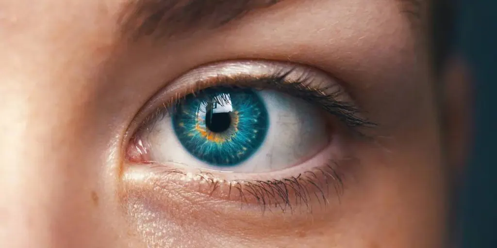 Worldcoin: ¿por qué es tan valioso el iris y lo están escaneando?